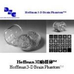 Hoffman 3D脑模体™